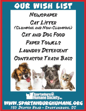 Dog (& Cat) Days of Summer