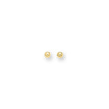 14K Yellow Gold Polished 5mm Post Earring