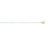 10K Yellow Gold .45mm ClassicBox 20 Chain with Spring Ring