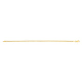 14K Yellow Gold 2.5mm Bismark 7.25 Chain Bracelet with Lobster Clasp