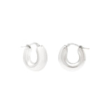 Sterling Silver Polished Small Graduated Hoop Earring with Hinged Clasp