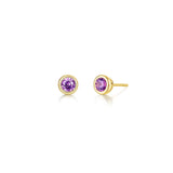 June Bezel Birthstone Earrings