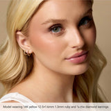 14K Rose Gold 1/6 CTW Natural Diamond Hinged 10 mm Hoop Earrings