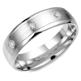 A white gold wedding band with a brushed center and eight round diamonds.