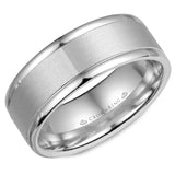 A white gold wedding band with a sandblast center.