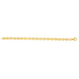 14K Gold Polished Oval Rolo Inspired Link Chain