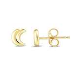 14K Yellow Gold Polished Earring with Euro Wire Clasp