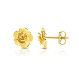 14K Yellow Gold Polished Earring with Push Back Clasp