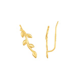 14K Yellow Gold Polished Earring with Ear Climber Clasp