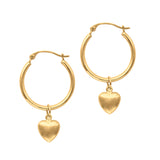 14K Yellow Gold Polished Earring with Hinged Clasp